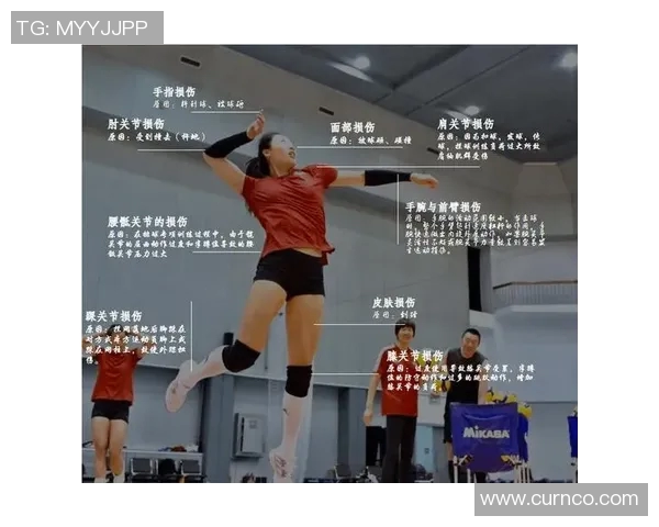 上海排球队的成长之路:一段不平凡的排球纪实故事 上海排球队的成长之路:一段不平凡的排球纪实故事