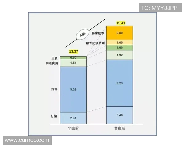 南京乒乓球队与武汉乒乓球队赛后技术分析与战术对比探讨 南京乒乓球队与武汉乒乓球队赛后技术分析与战术对比探讨