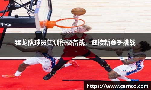 猛龙队球员集训积极备战，迎接新赛季挑战