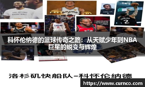 DB真人官网