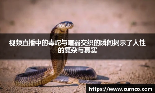 DB真人游戏